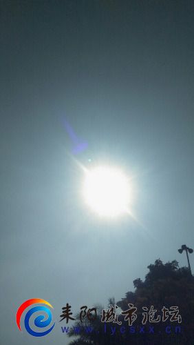 wx_camera_1607405909610.jpg