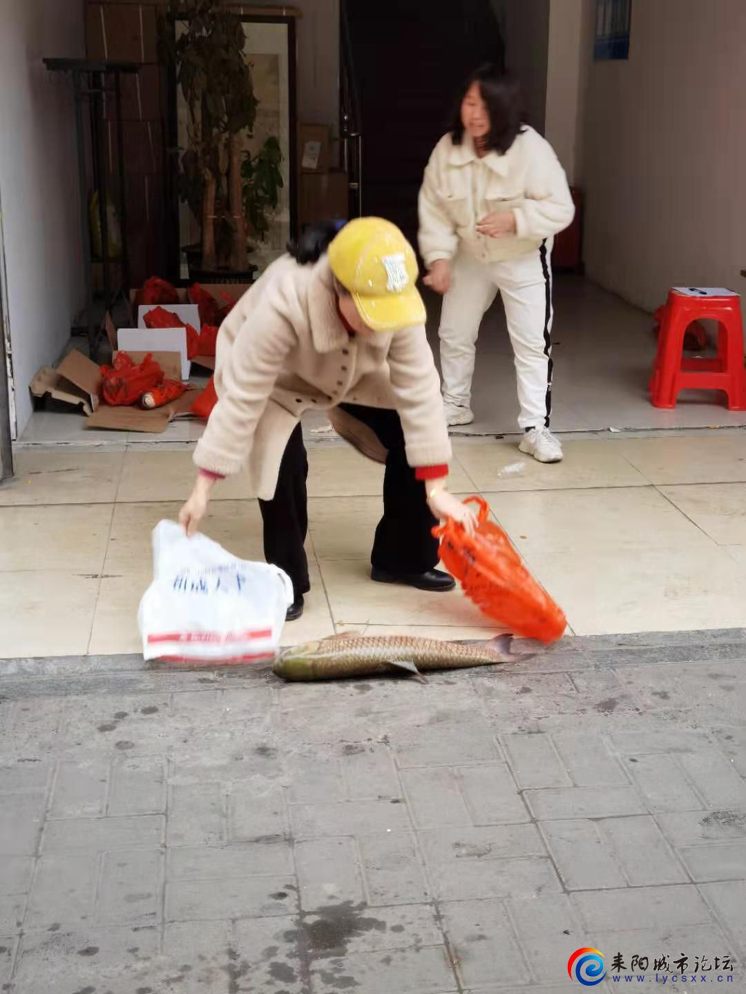 ΢ͼƬ_20210208184549.jpg