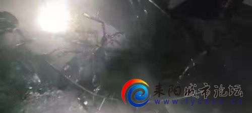 CBE72367-55C0-4BDD-8157-4D6E5783D324.jpeg