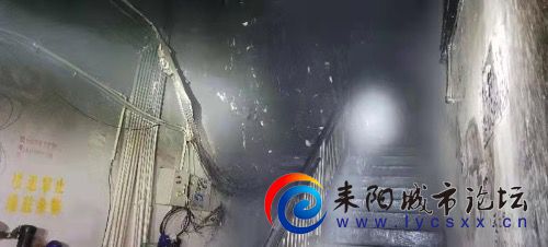 7107E129-ED7C-4D87-A2E8-ACE518EA1D08.jpeg