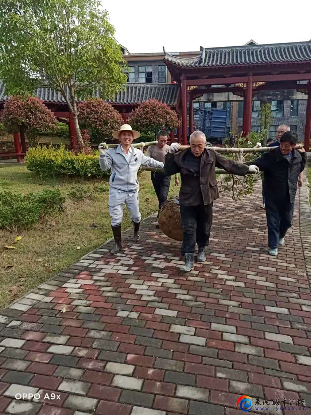 QQͼƬ20210410162431.jpg