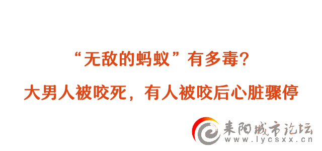 ΢ͼƬ_20210420090753.png