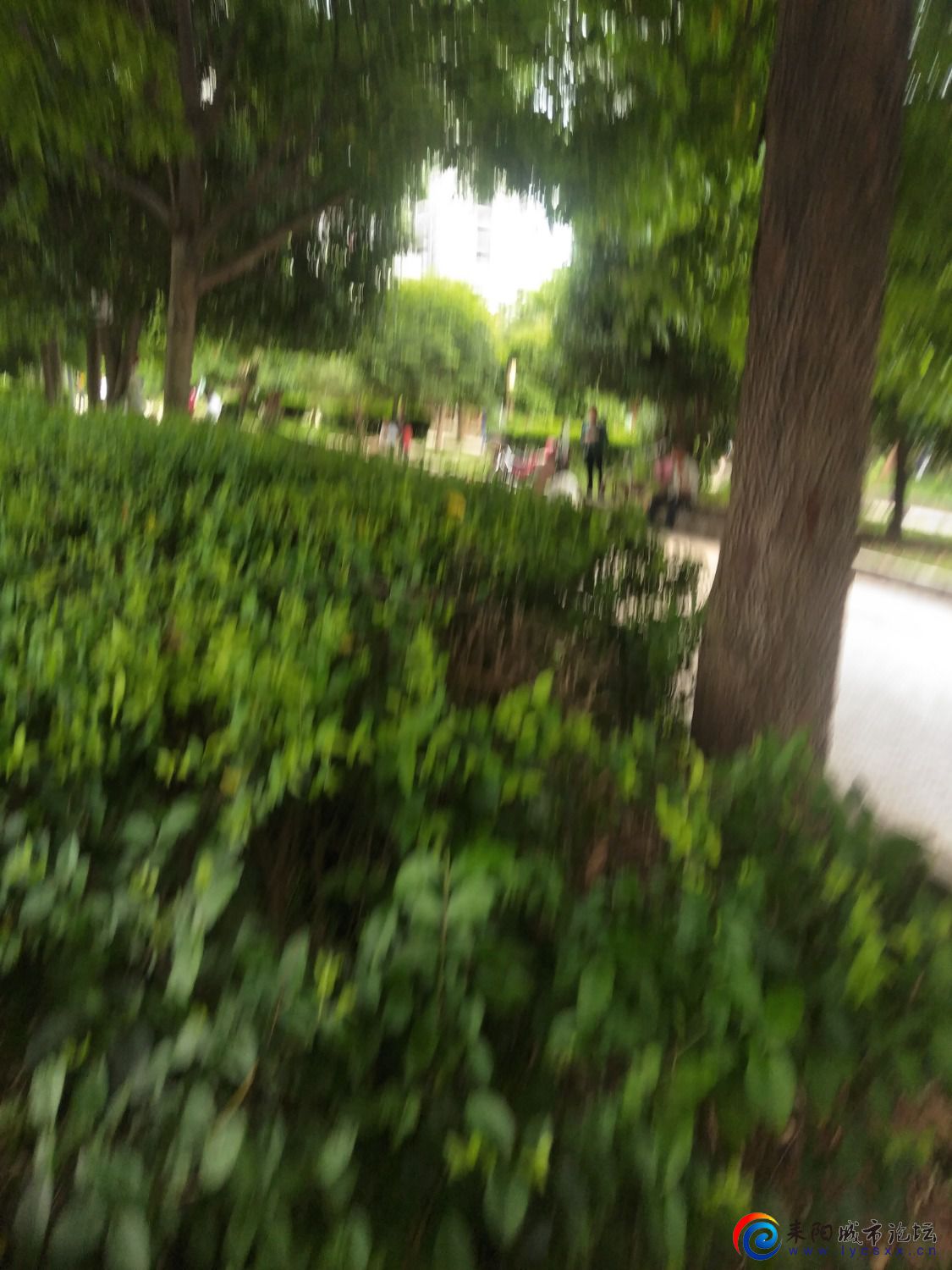 IMG20210526142523.jpg