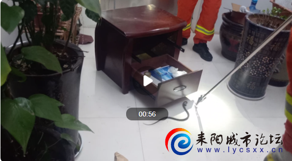 QQ图片20210610085228.png