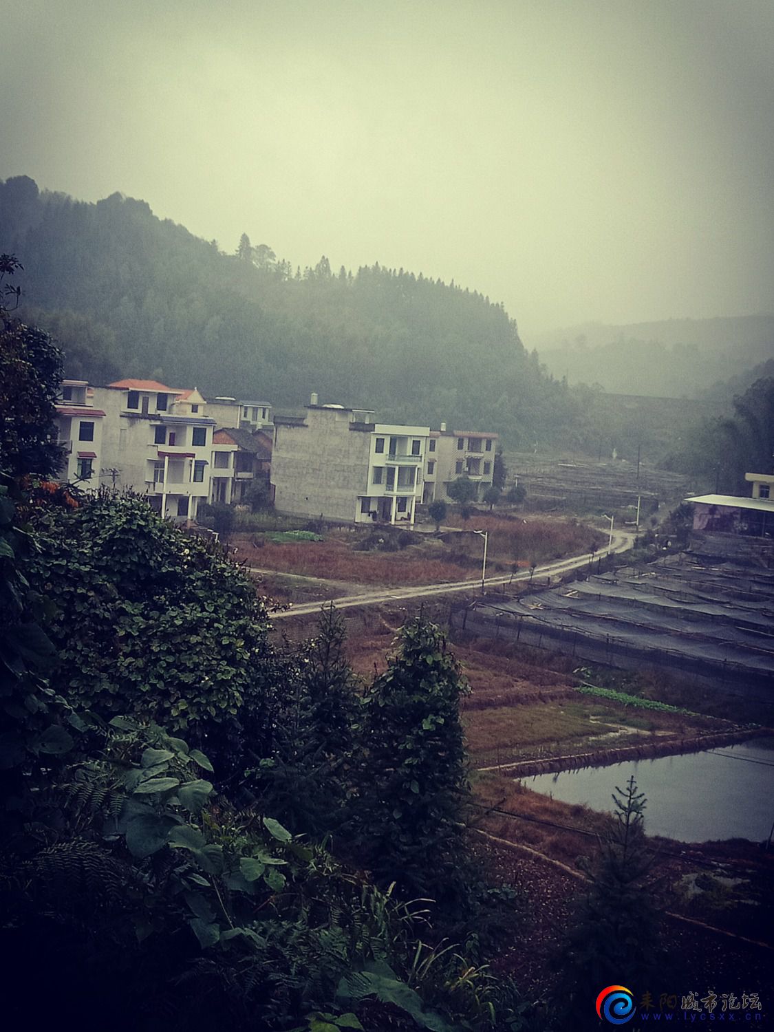 IMG20211121160715.jpg