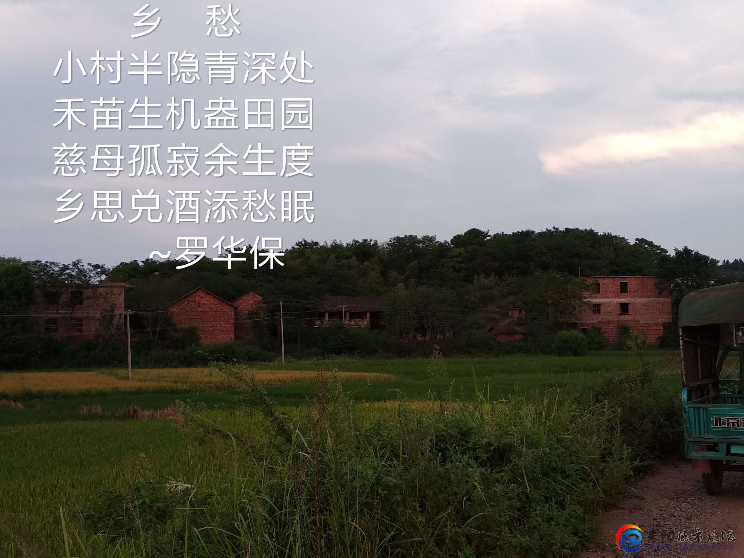 mmexport1c4543a8973efb03bb2742af9de10023_1641311094790.jpeg