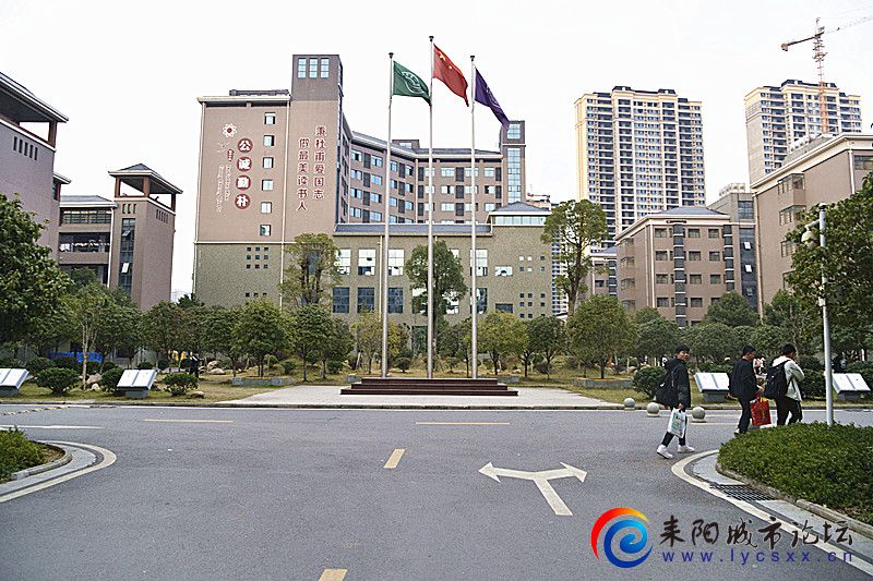 _DSC0092_.jpg