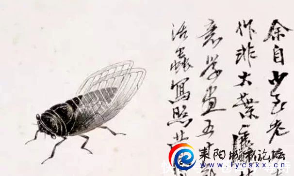 t016444c1a147d77302.webp.jpg