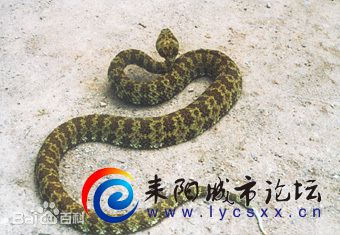 a8ec8a13632762d01183d7a6a0ec08fa513dc66e.jpg