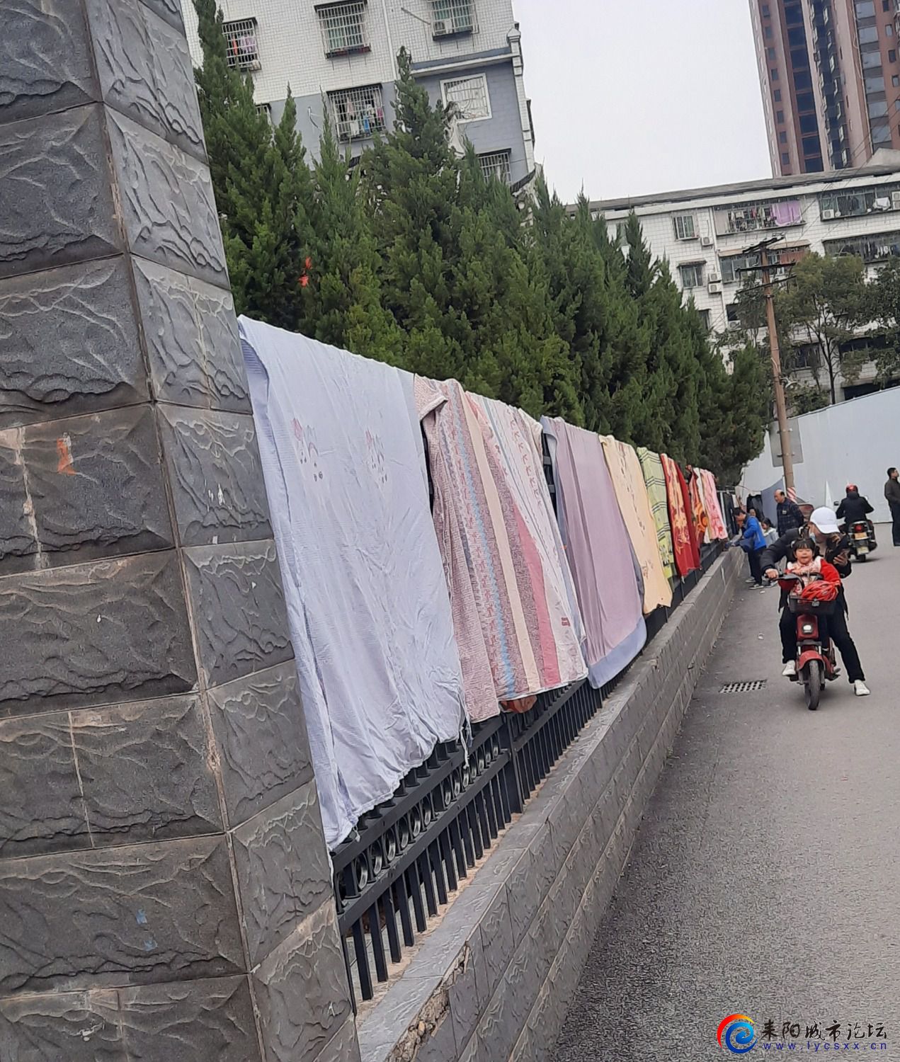 20220120_133853.jpg