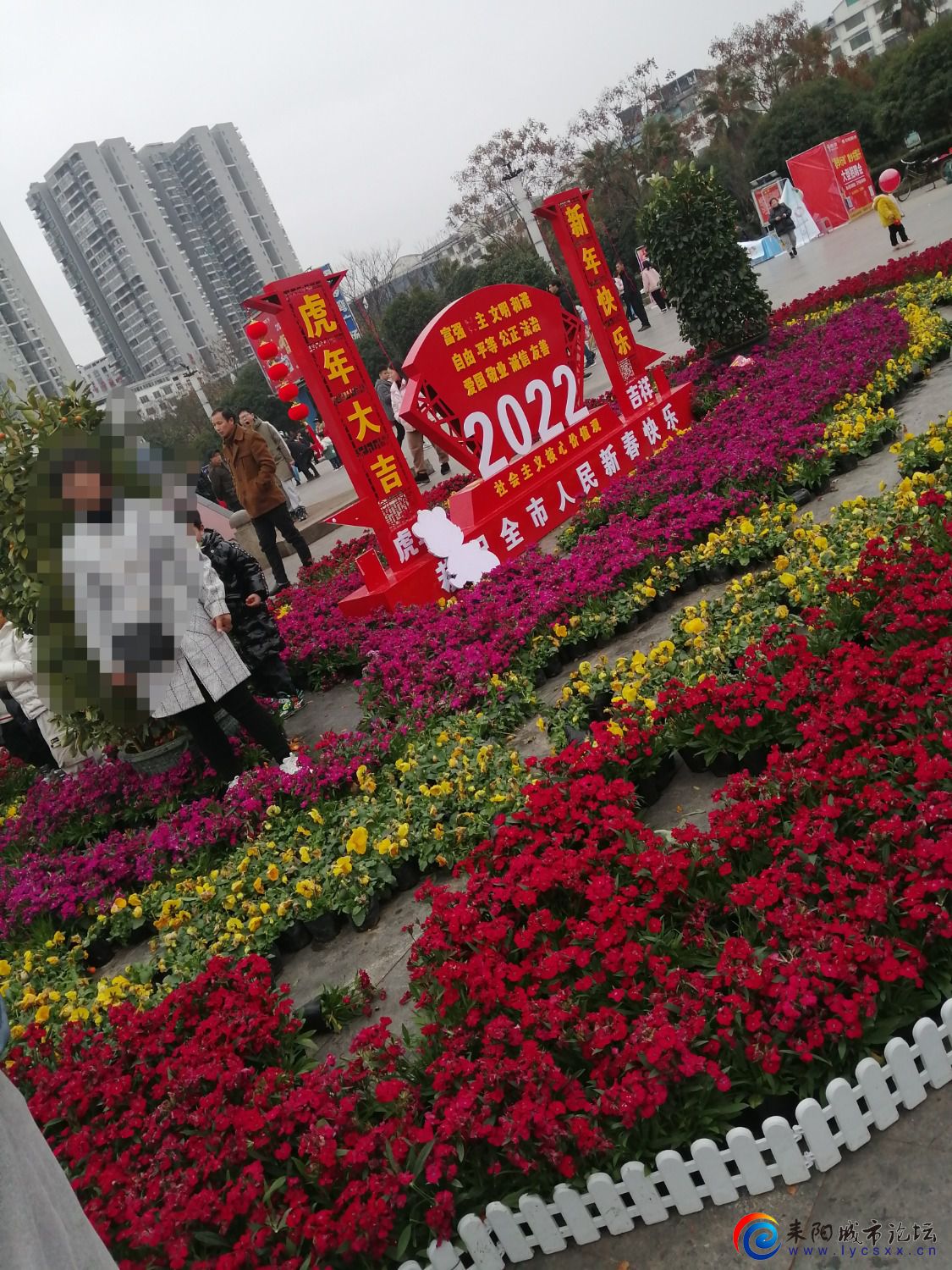 IMG_20220215_214241.jpg