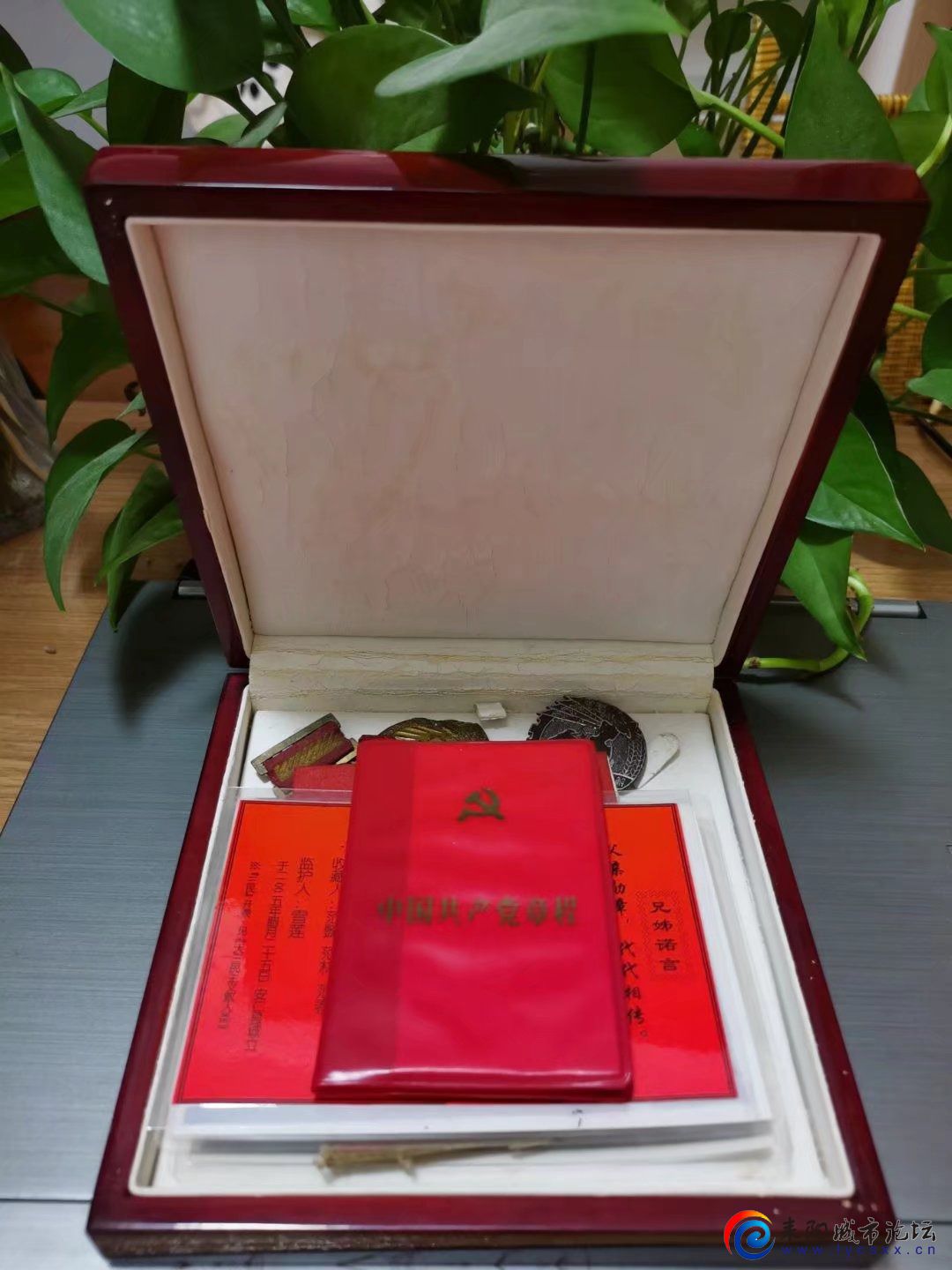 mmexport1645759173734.jpg