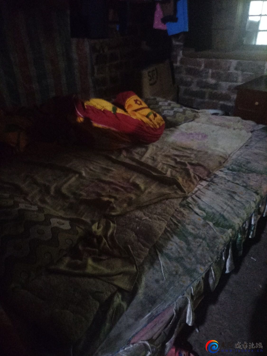 IMG20220422124249.jpg