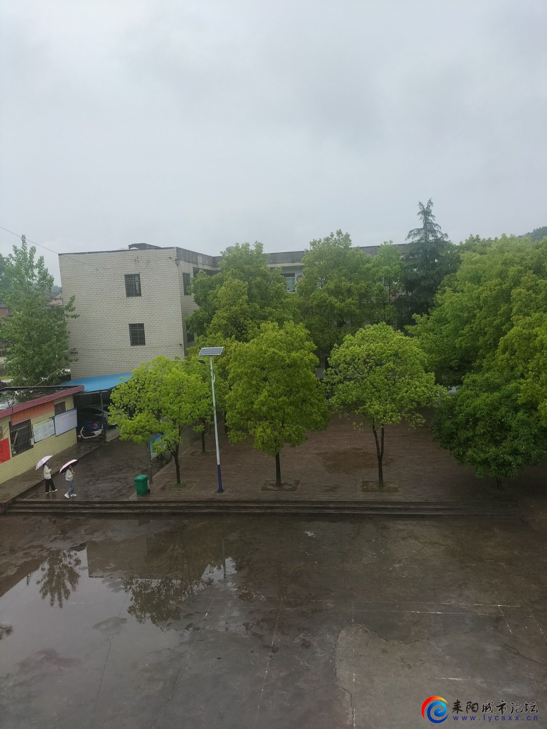 IMG20220422121639.jpg
