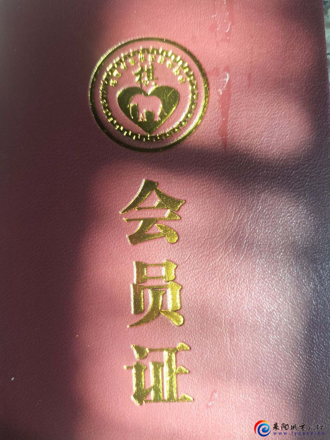 IMG20220505094941.jpg