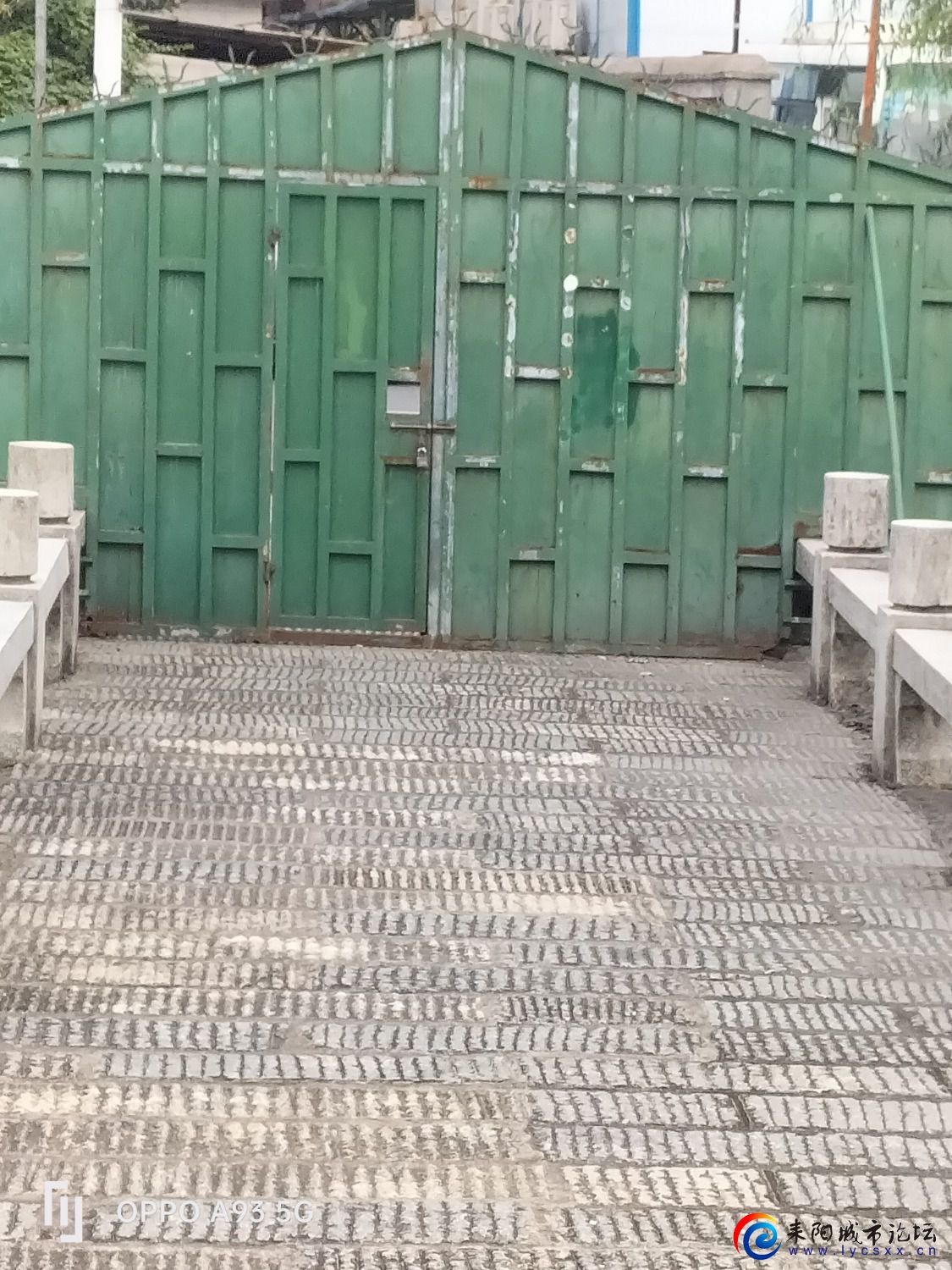1655257254966.jpg