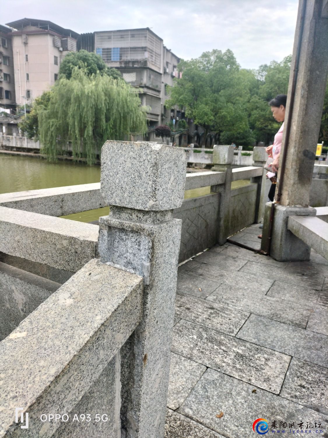 1655257359529.jpg