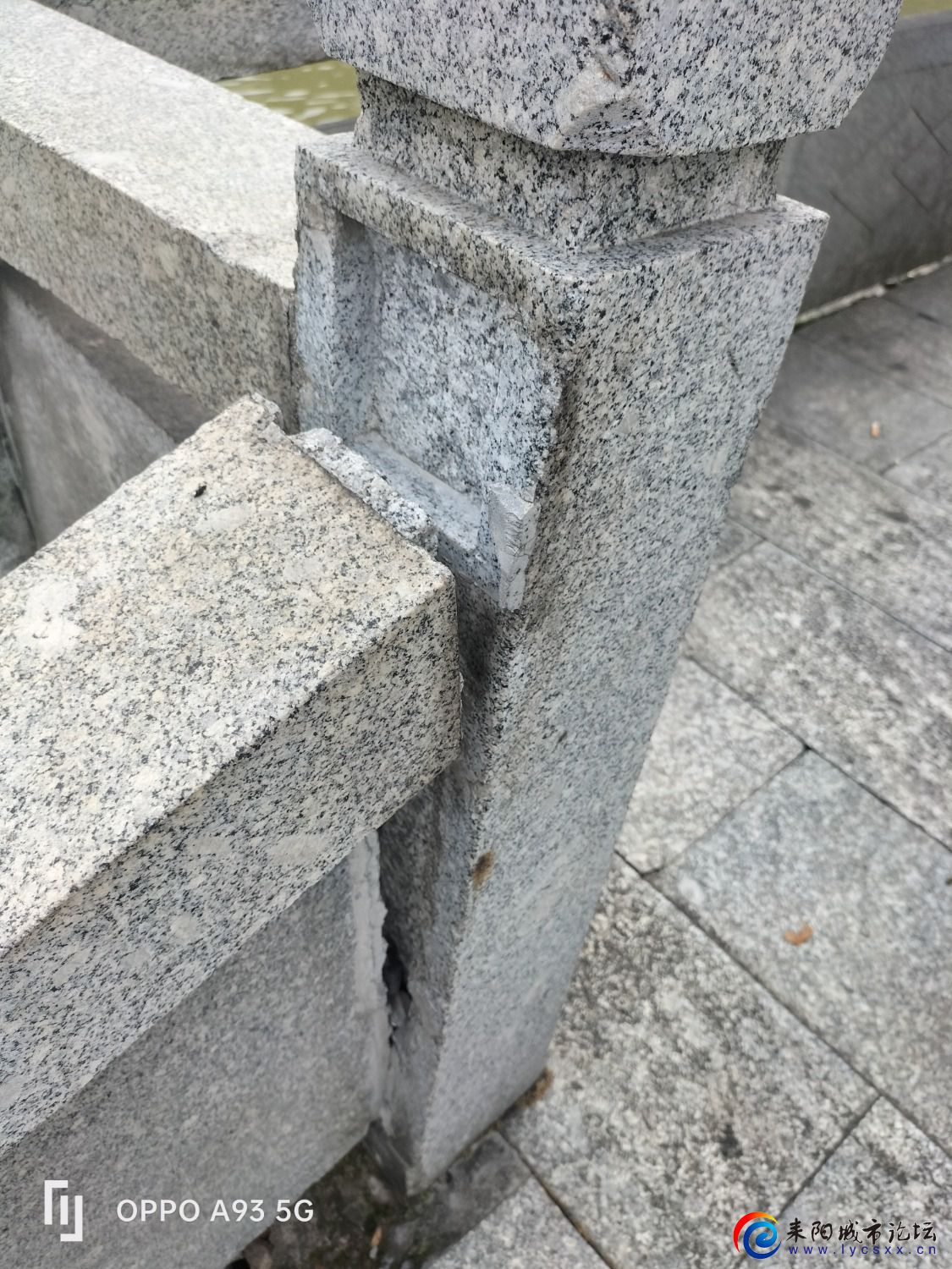 1655257392557.jpg