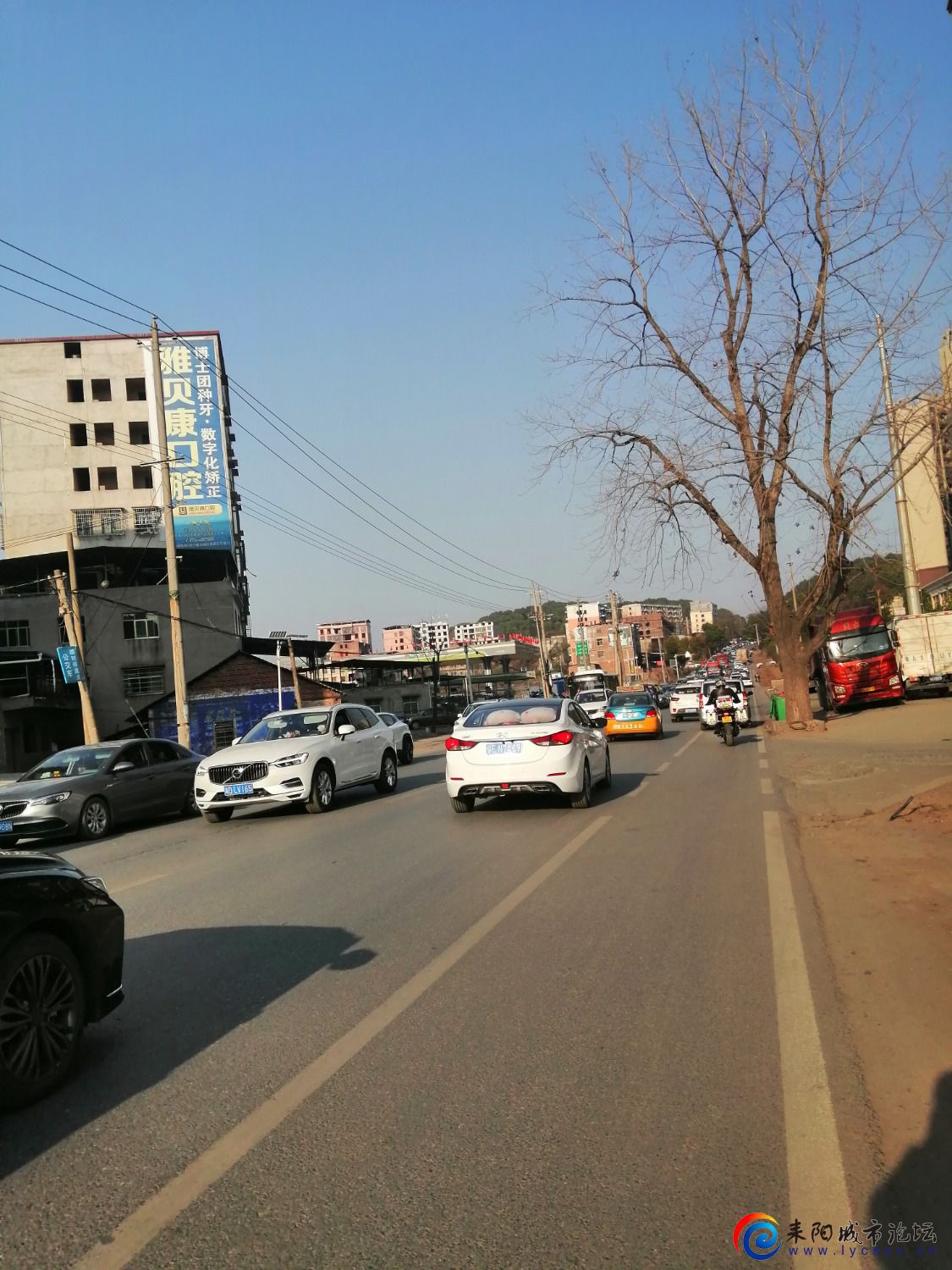 IMG_20230129_162229.jpg