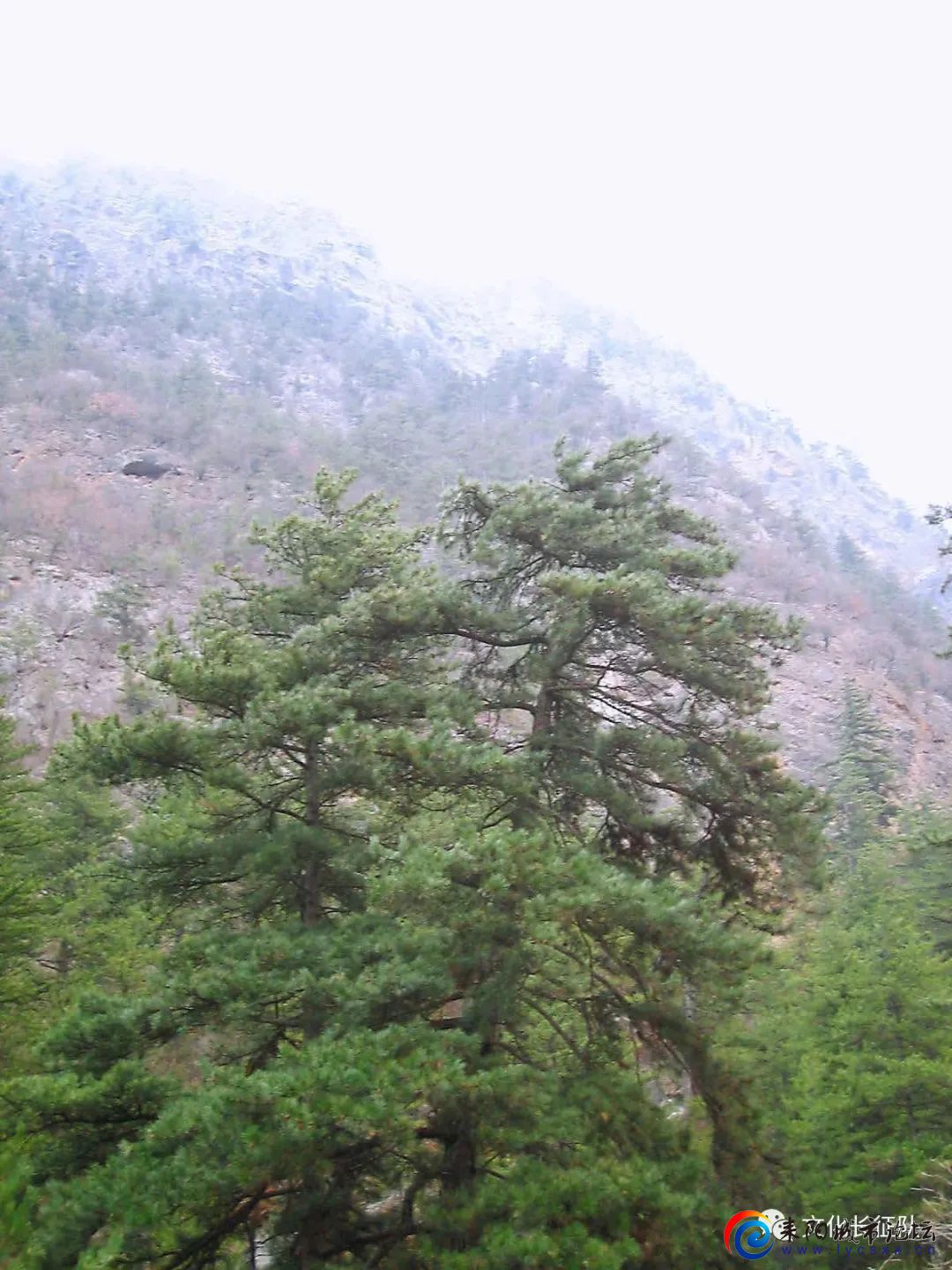 mmexportf4b7c7f2410a03dd0873c63c1541308a_1675684205874.jpeg