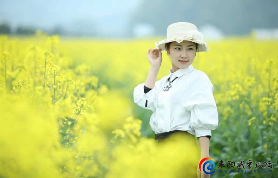 mmexport95da0d5750a958f40c4a1c14d33e8973_1677983945769.jpeg