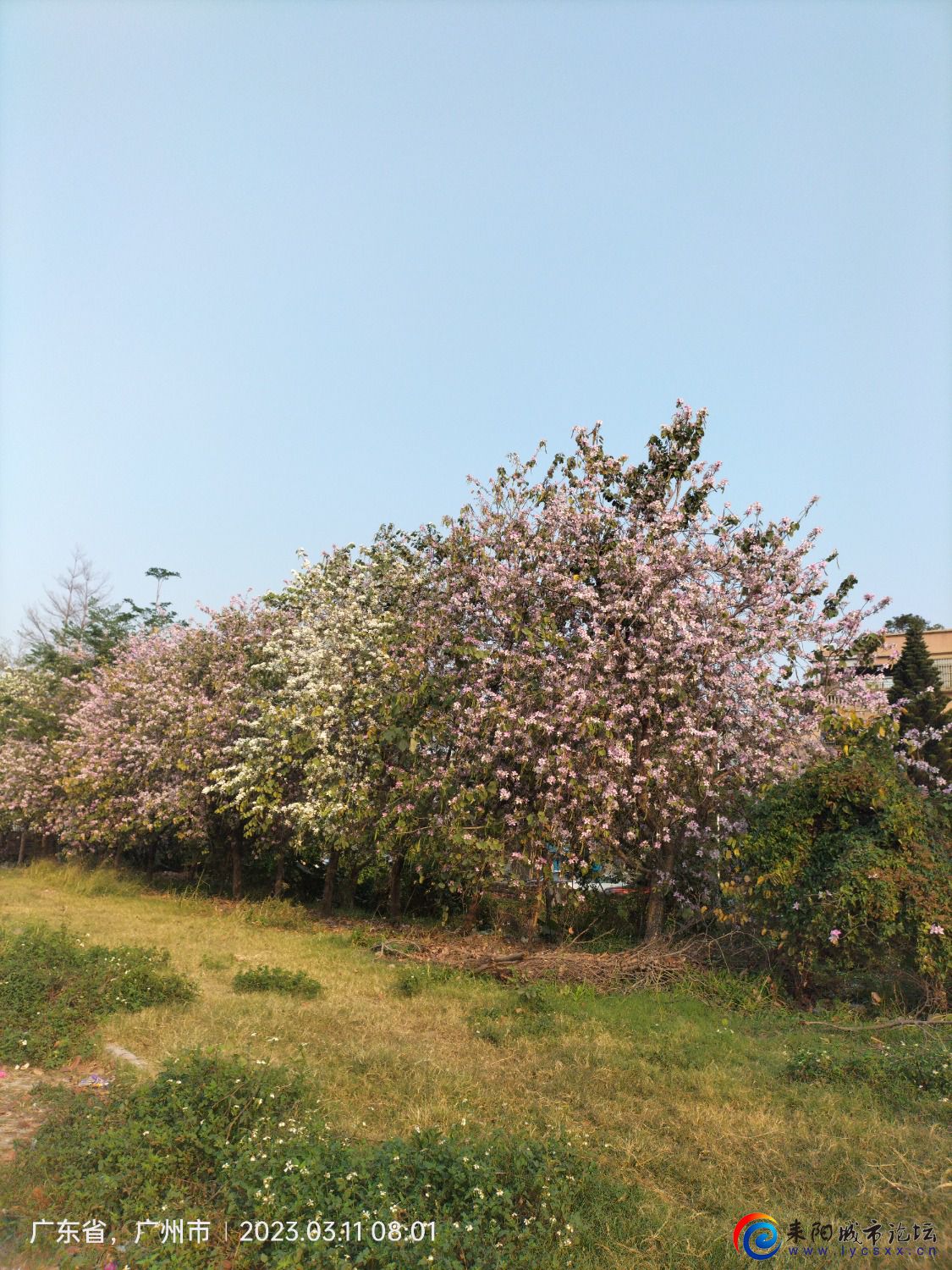 IMG20230311080141.jpg