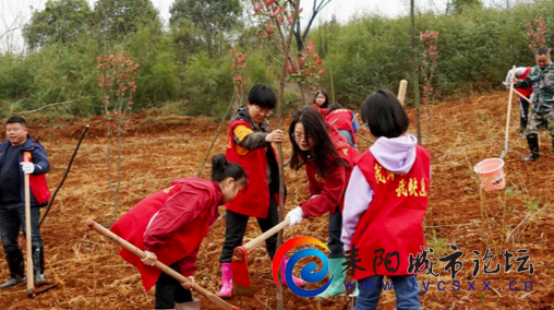 IMG_20230315_065842.png