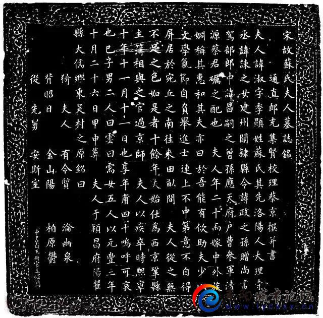 mmexport45ebff2ef839b9d15c06b53392ca0c6a_1679487895750.jpeg