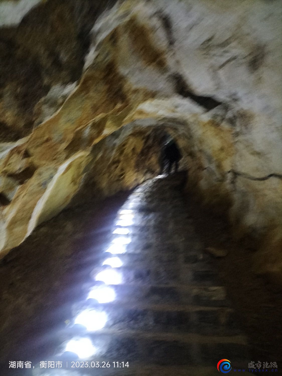 IMG20230326111429.jpg