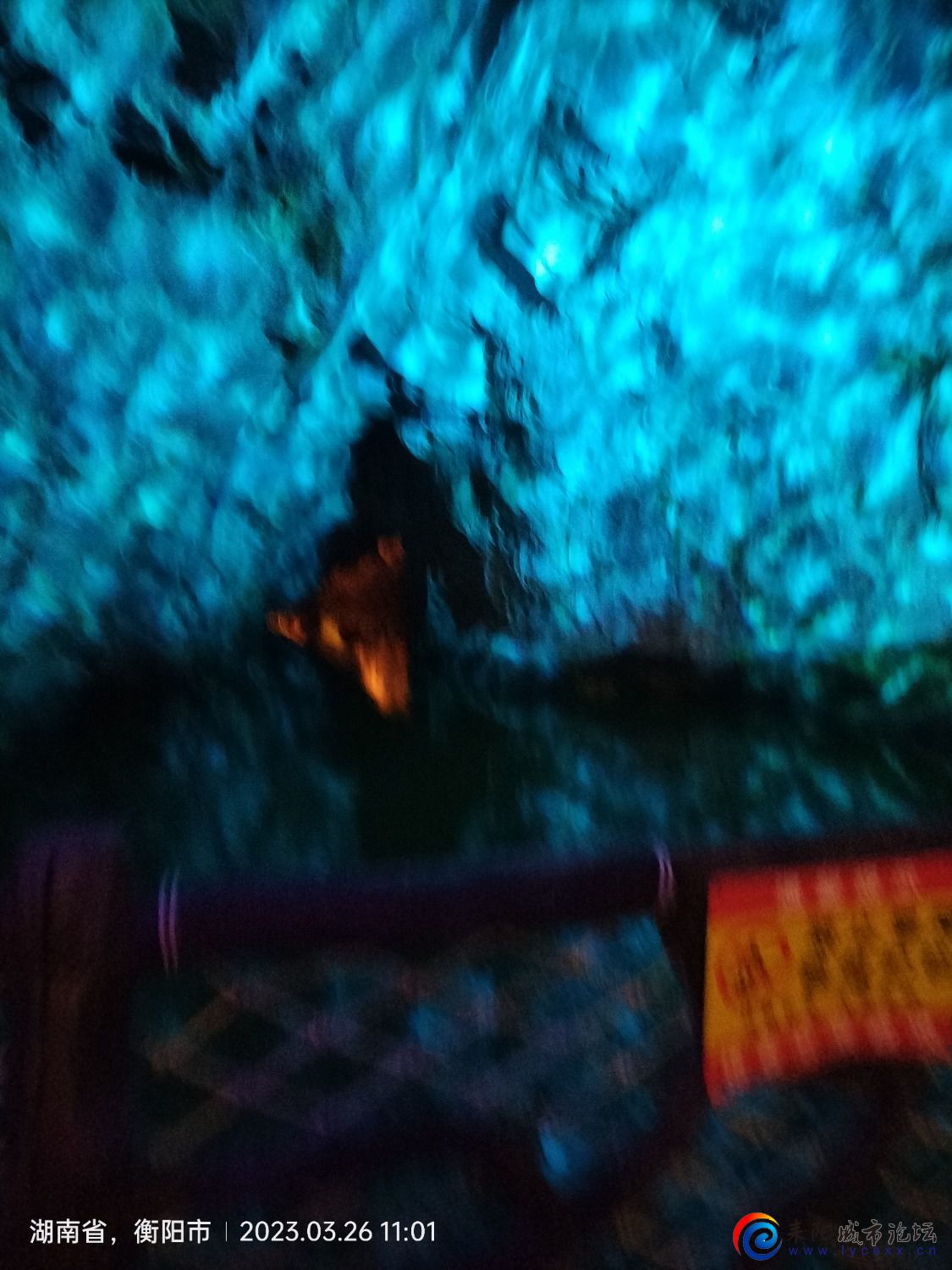 IMG20230326110145.jpg