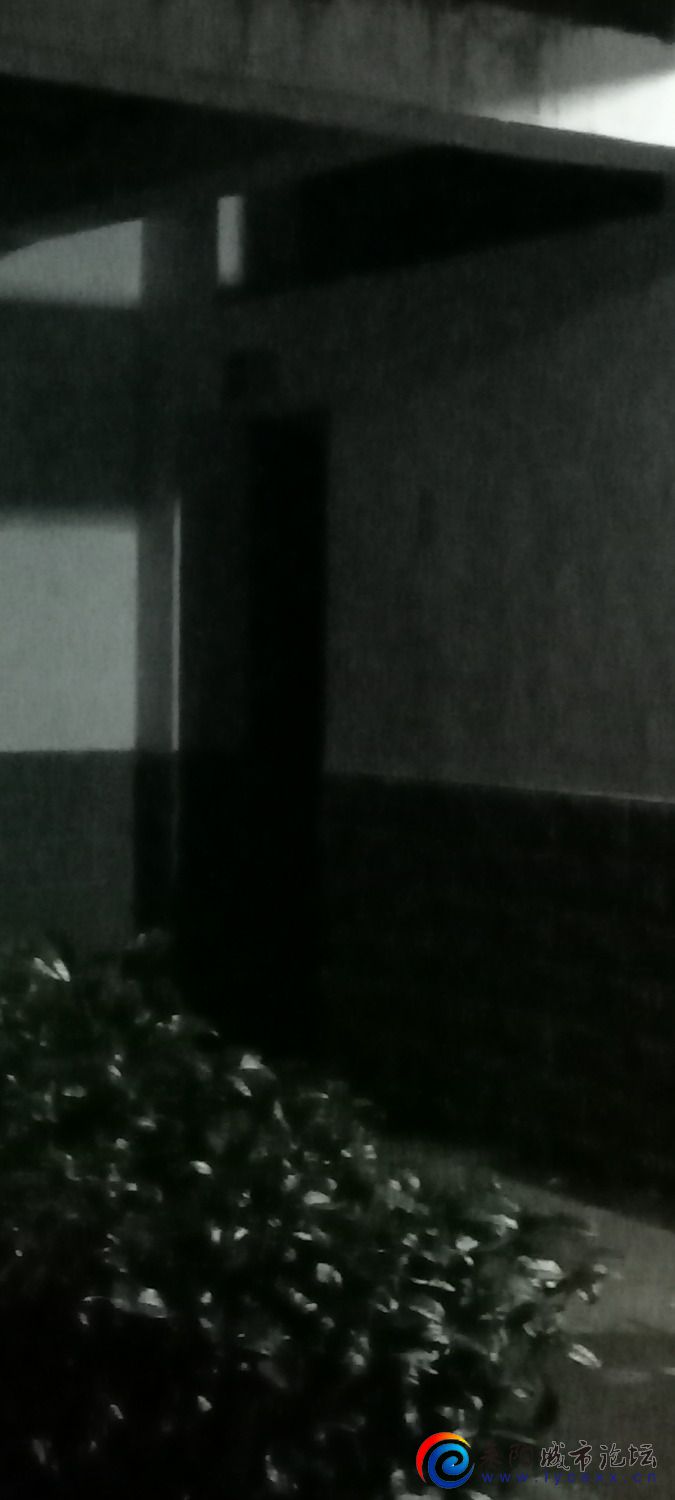 IMG20230411192543.jpg