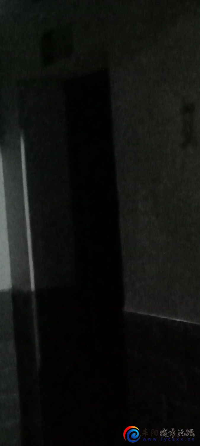 IMG20230411192533.jpg
