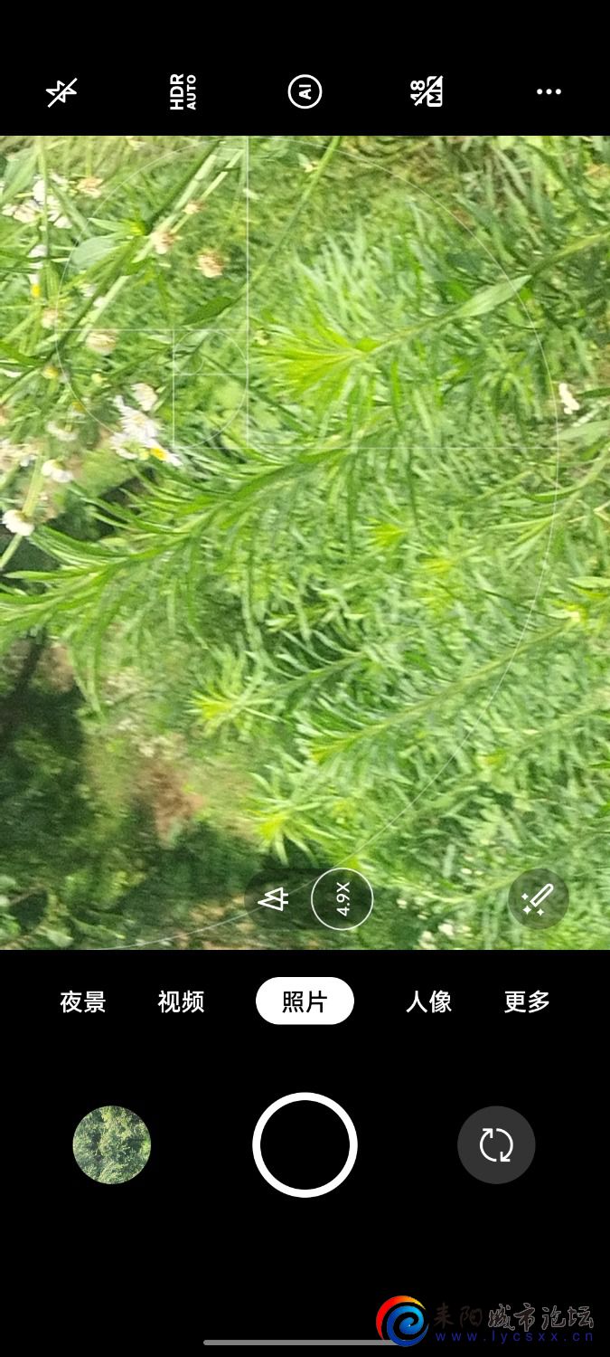 Screenshot_2023-06-17-10-02-48-30_d1e180874abfbe4d796ce10558f8141a.jpg