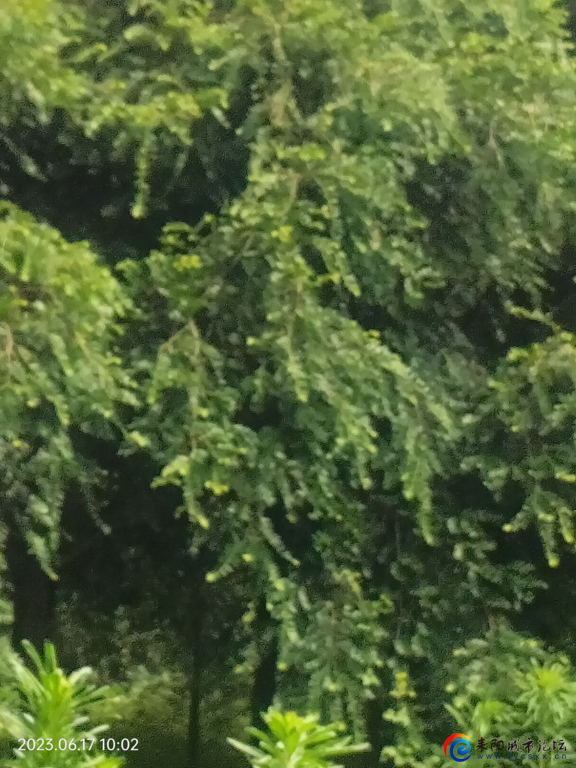 IMG20230617100243.jpg