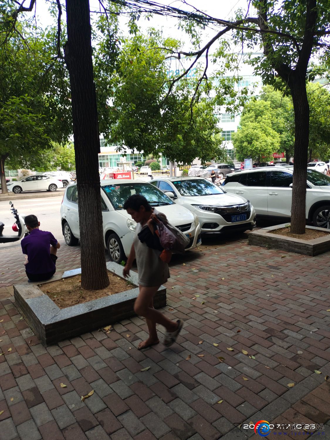 IMG_20230717_102321.jpg