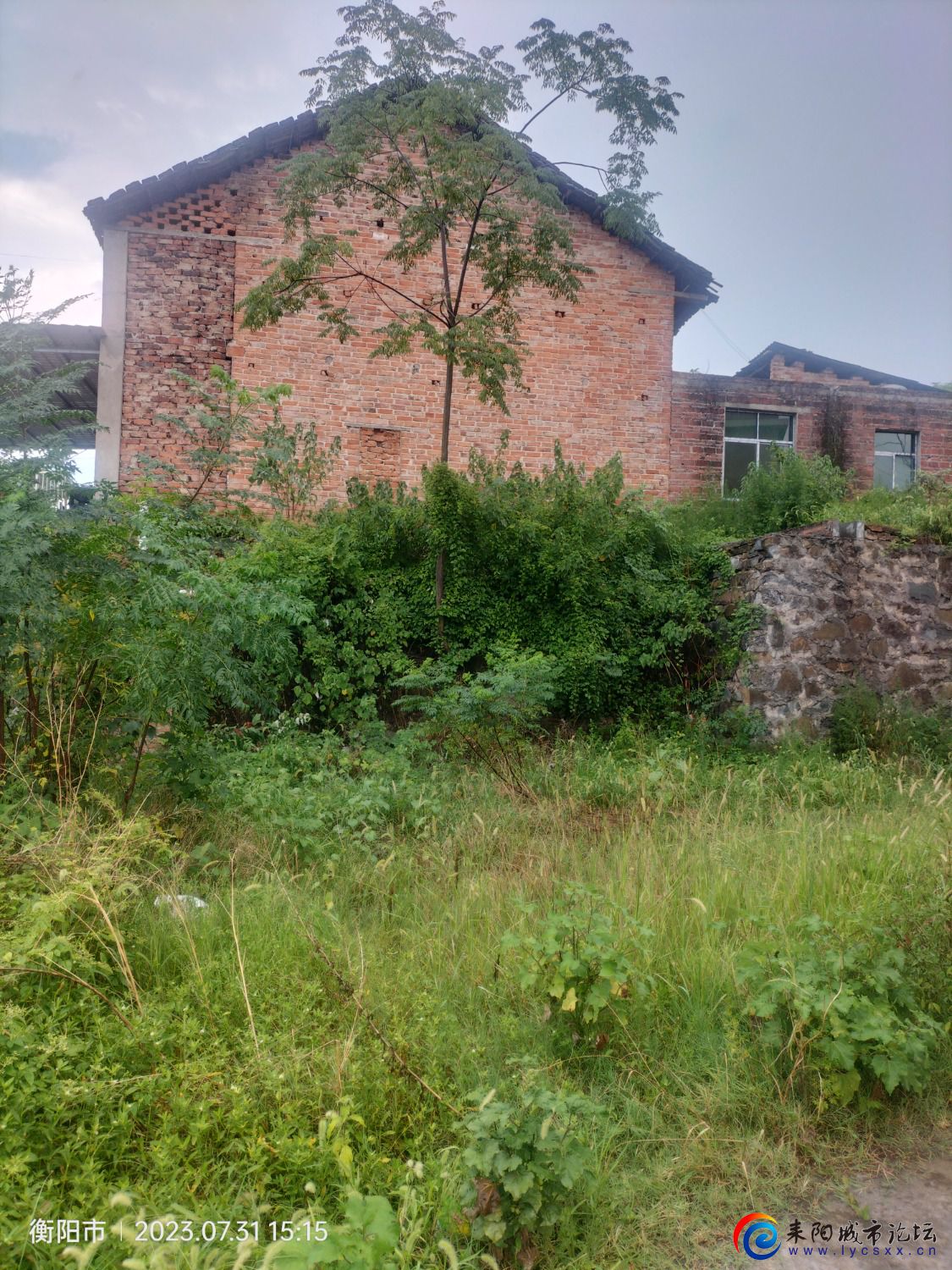 IMG20230731151517.jpg