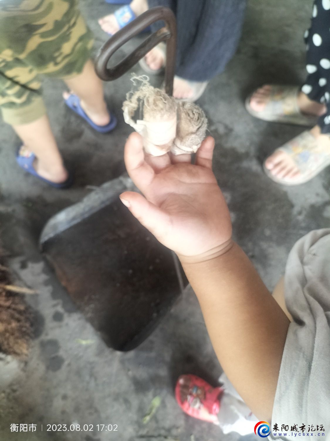 IMG20230802170245.jpg