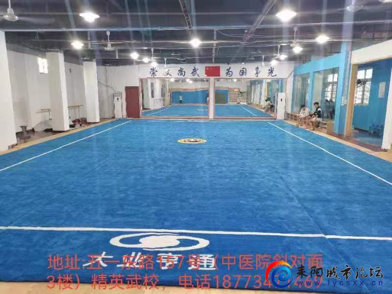 mmexport1692776383529.jpg