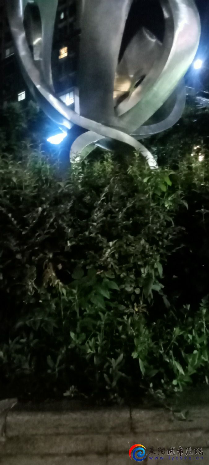 IMG20230824210949.jpg