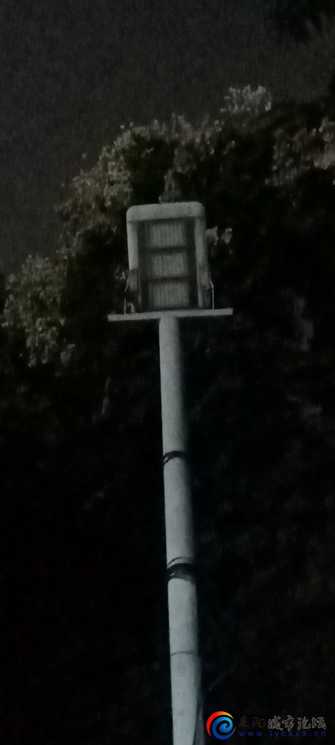 IMG20231011212402.jpg