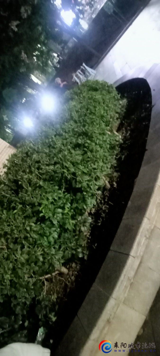 IMG20231014202232.jpg