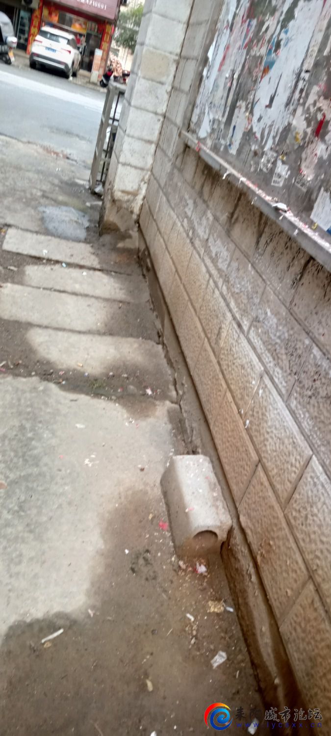 IMG20231021102015.jpg