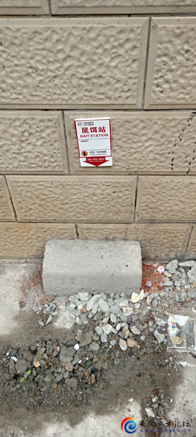 IMG20231021102053.jpg