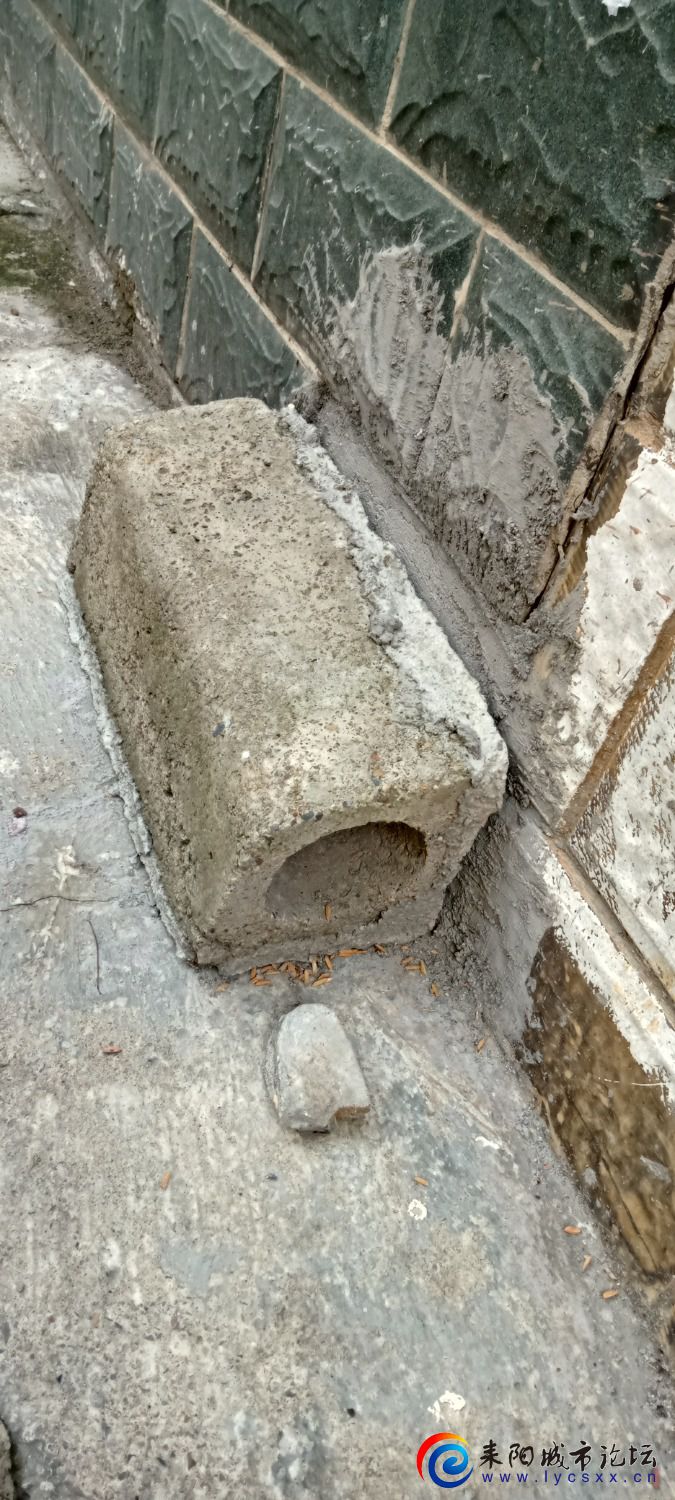IMG20231021094844.jpg