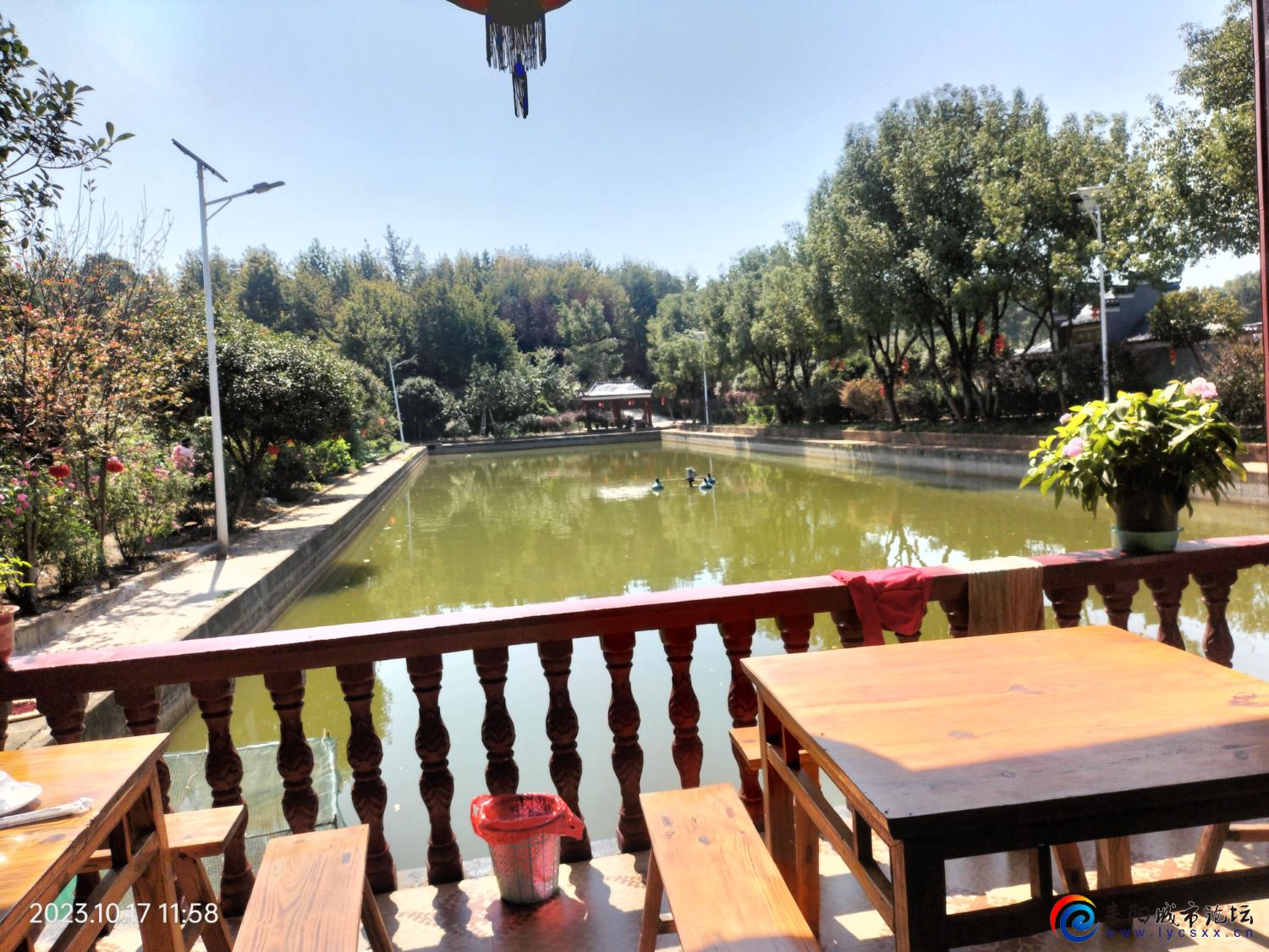 IMG20231017115833.jpg