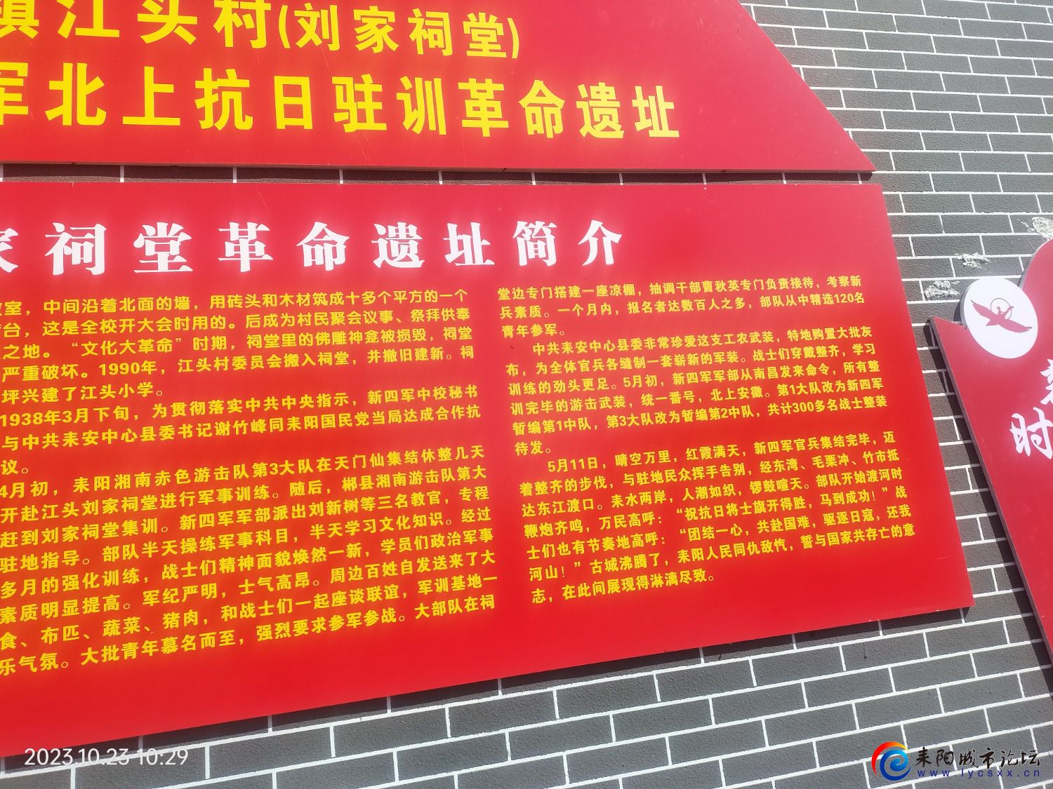 IMG20231023102955.jpg