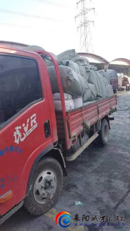 mmexport1703148301593.jpg