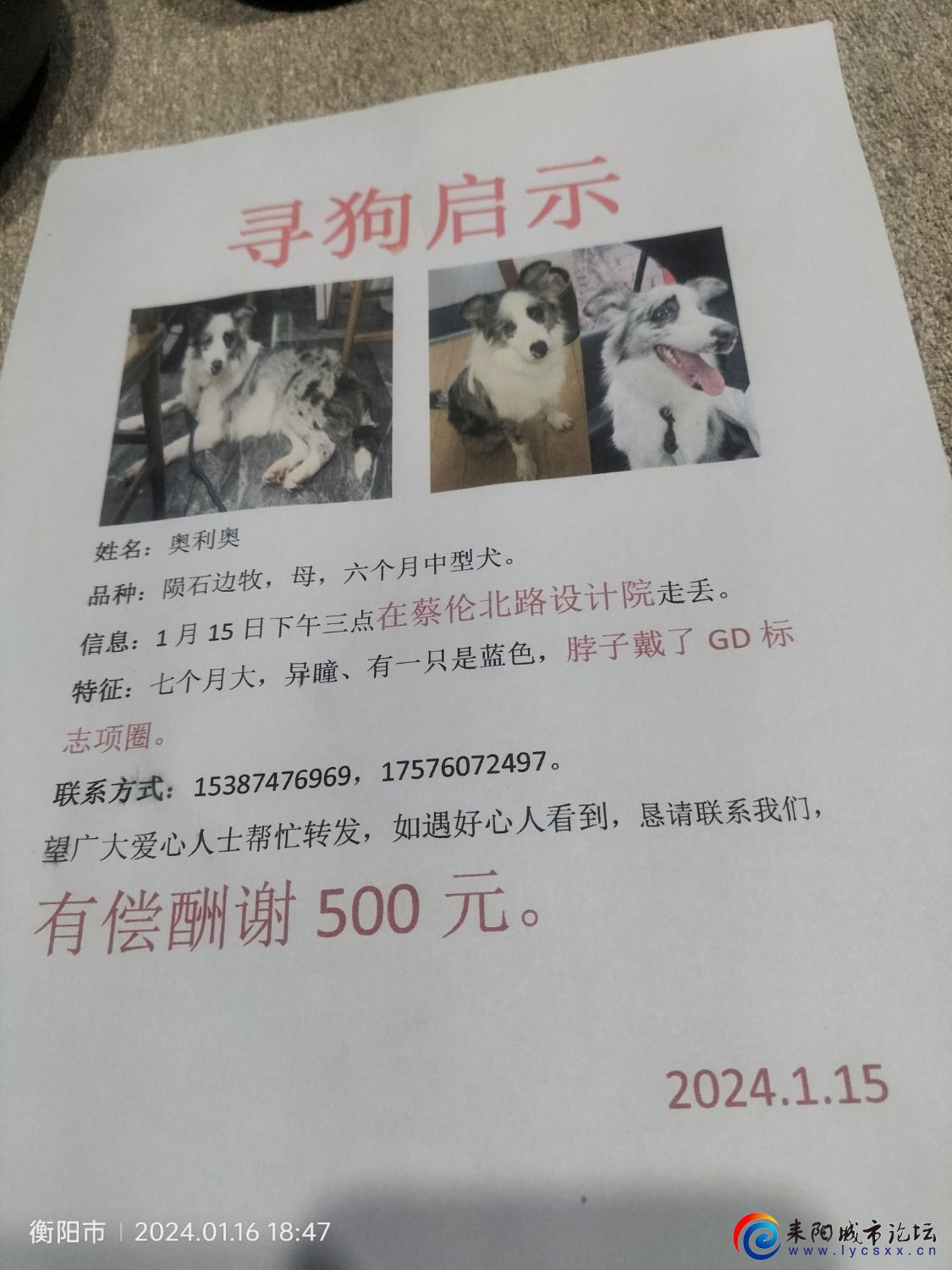 IMG20240116184708.jpg
