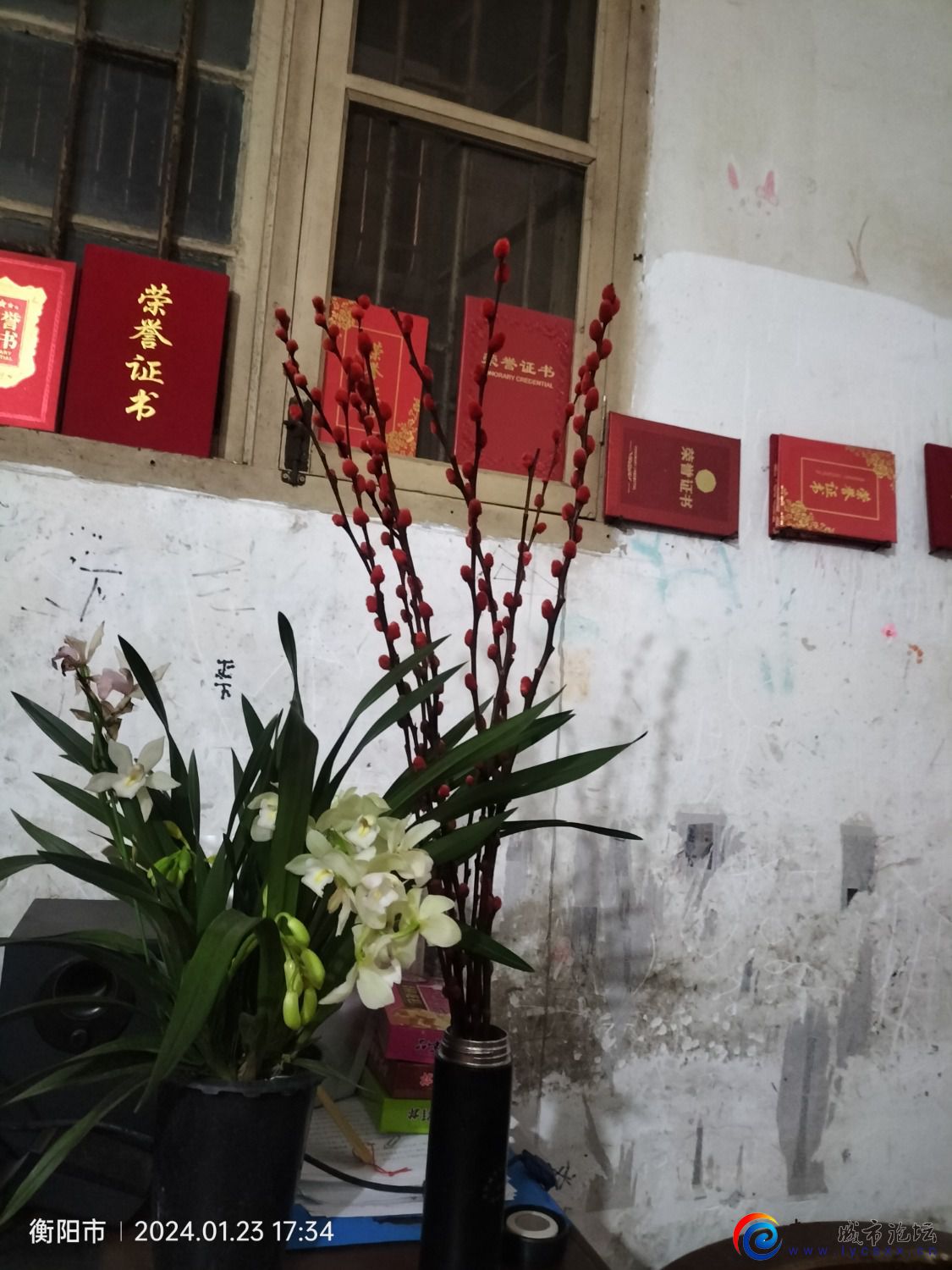 IMG20240123173413.jpg