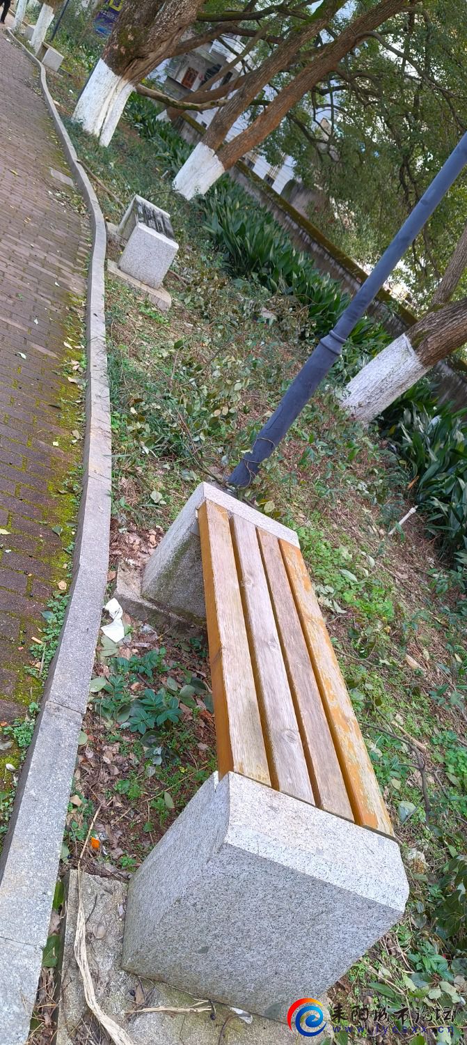 IMG20240217154702.jpg